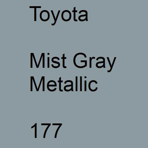 Toyota, Mist Gray Metallic, 177.